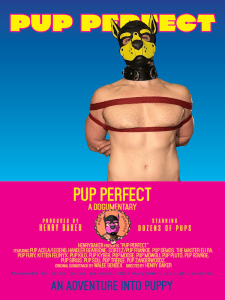 PUP PERFECT